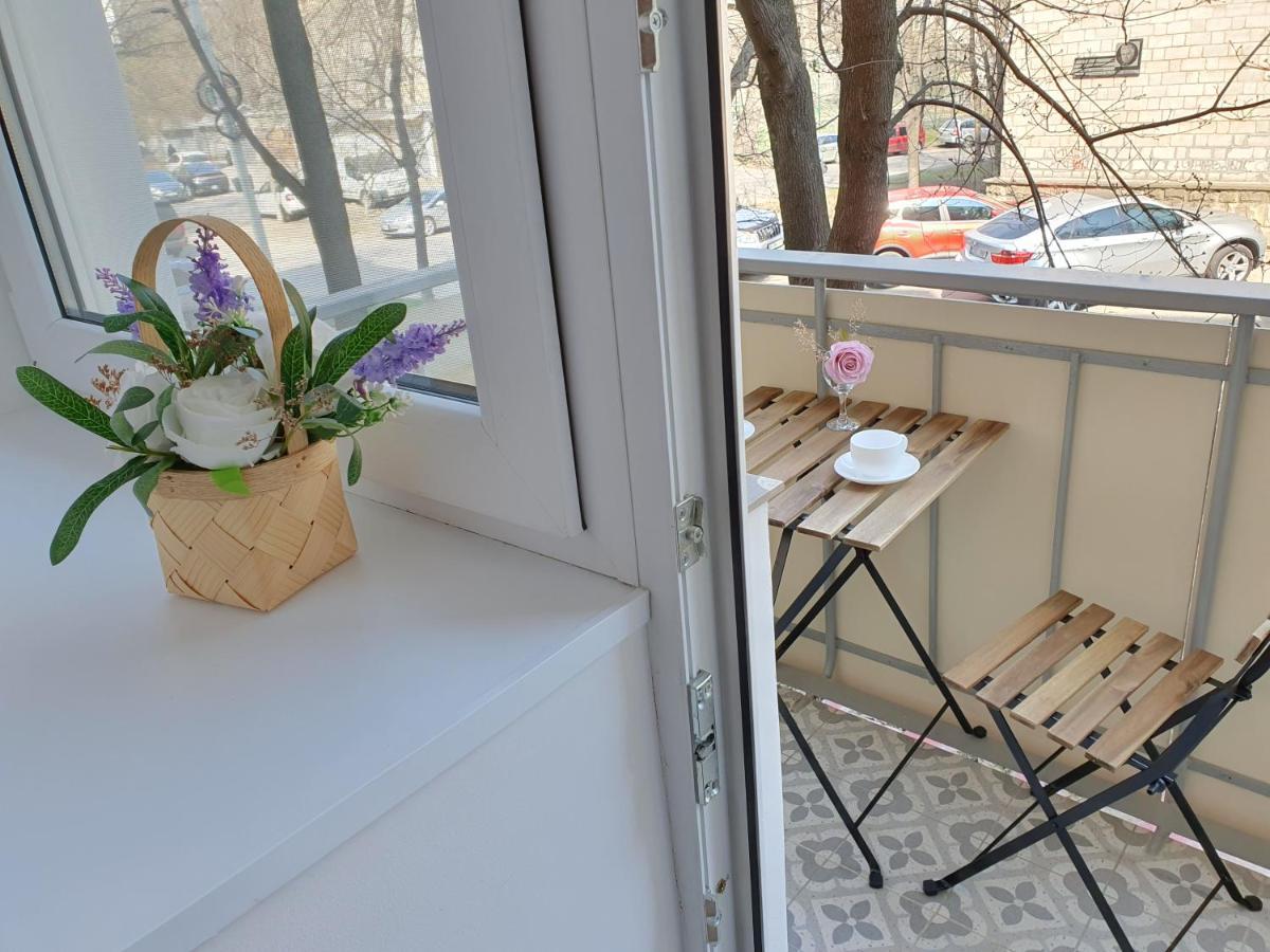 All New And Cozy Apartment In The Silence Center Кишинёв Экстерьер фото